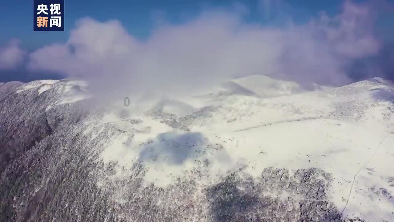 寻找古代宝藏