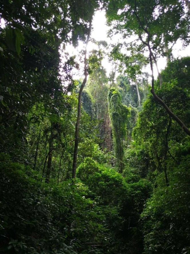 深圳高端上门私厨家宴价格,您知道多少钱合理吗?