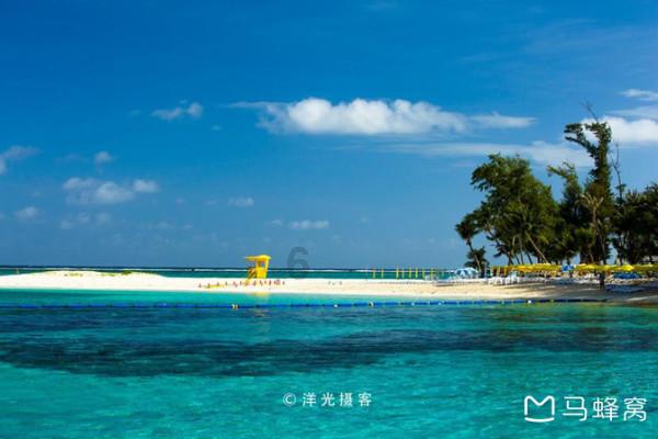 道奇蝰蛇找不同