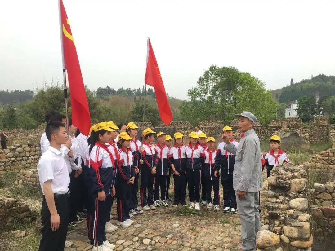 逃离金色蜜蜂森林