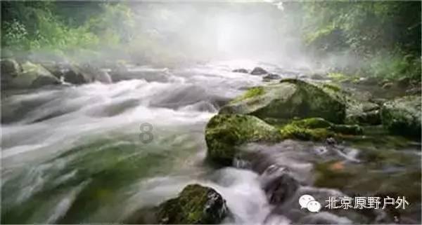 冰淇淋的诱惑