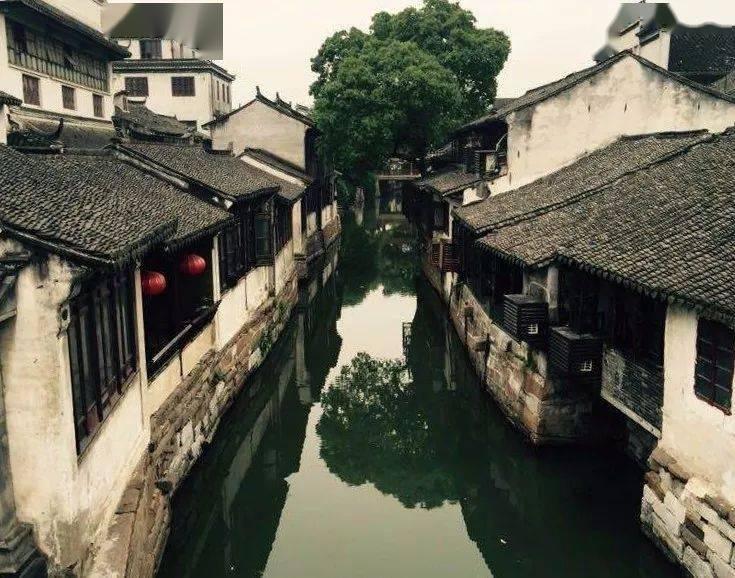 张庭清醒的观念:爱自己,尊重自己